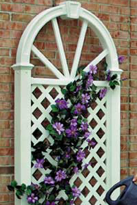 Vinyl Trellis