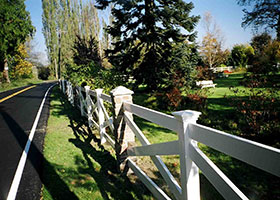 Tan crossbuck fence