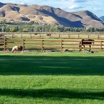 Ranch_Gallery_09