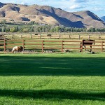 Ranch_Gallery_09