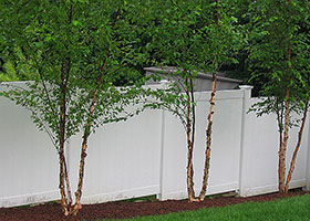 PVC privacy fence