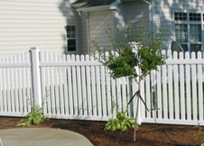 Austin white picket fence