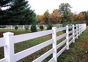 white horse fence