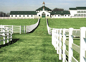 white horse fence