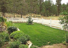 white horse fence