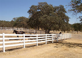 white PVC horse fence