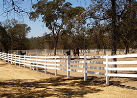 white PVC horse fence