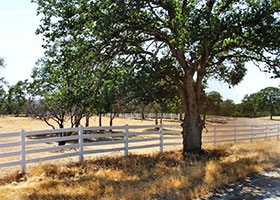 vinyl horse fencing