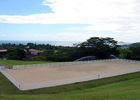 vinyl horse fencing