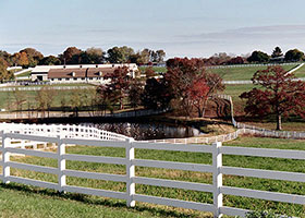 4 rail split rail fencing 