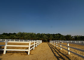 equestrian fence