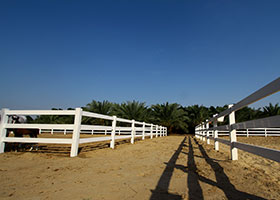 split rail fencing