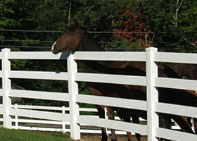 4 rail horse fence
