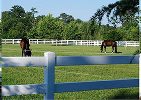 horse fence