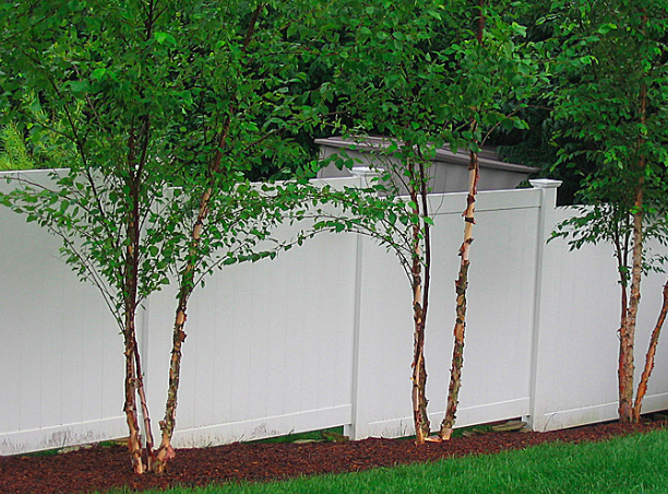 Example of a stepped vinyl fence