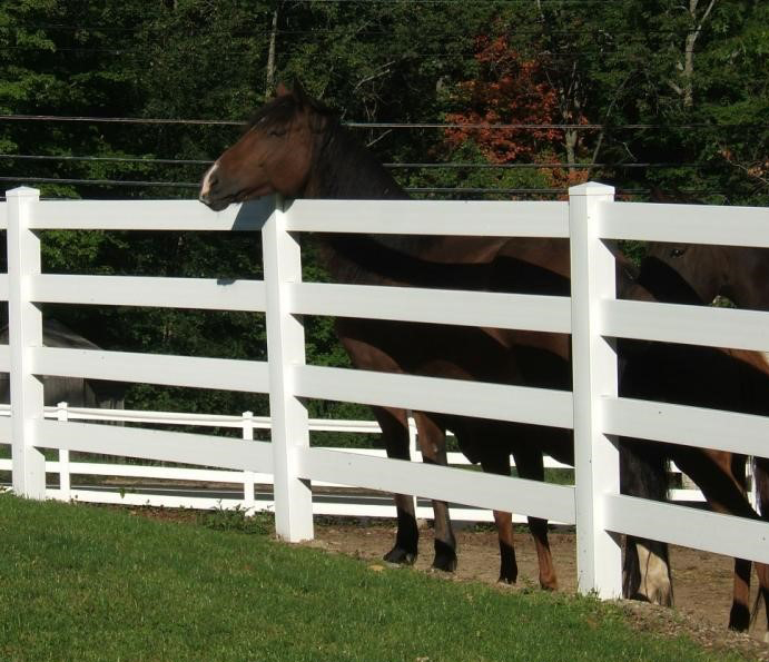 A brown horse hangs its head over a white vinyl fence