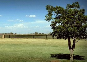 black horse fencing