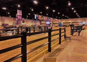 black vinyl horse fencing