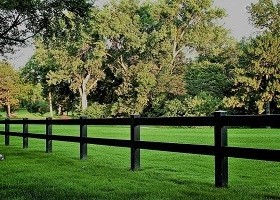 black 3 rail vinyl horse fence