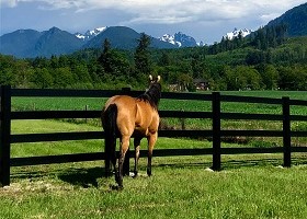 black Split Rail fence