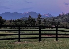 black vinylhorse fence