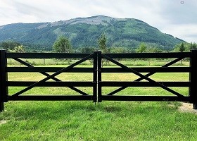 black Farm fence