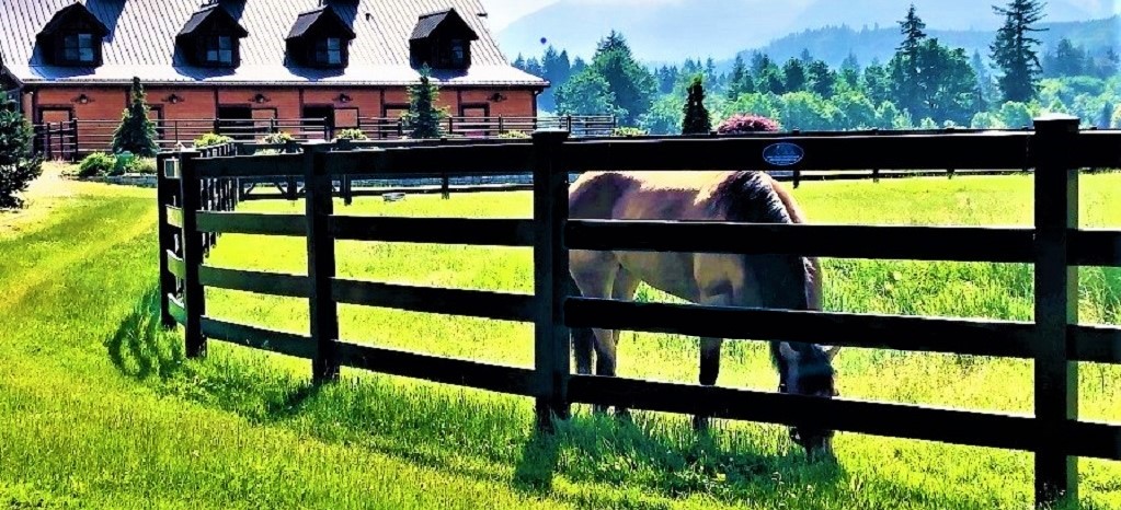 black horse fence