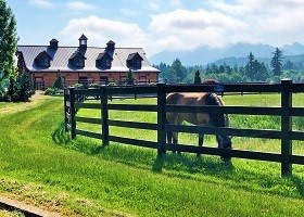 black Split Rail fence