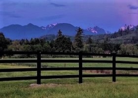 black vinyl horse fence