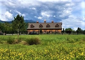 black Vinyl Pasture fence