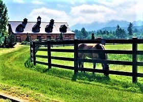 black Split Rail fence