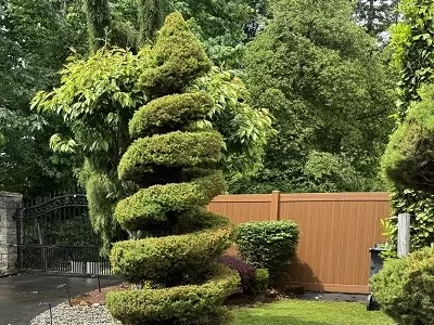 mocha walnut privacy fence